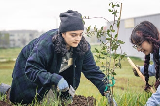 Two students work outdoors planting a tree. They are both wearing long-sleeved shirts and gloves.