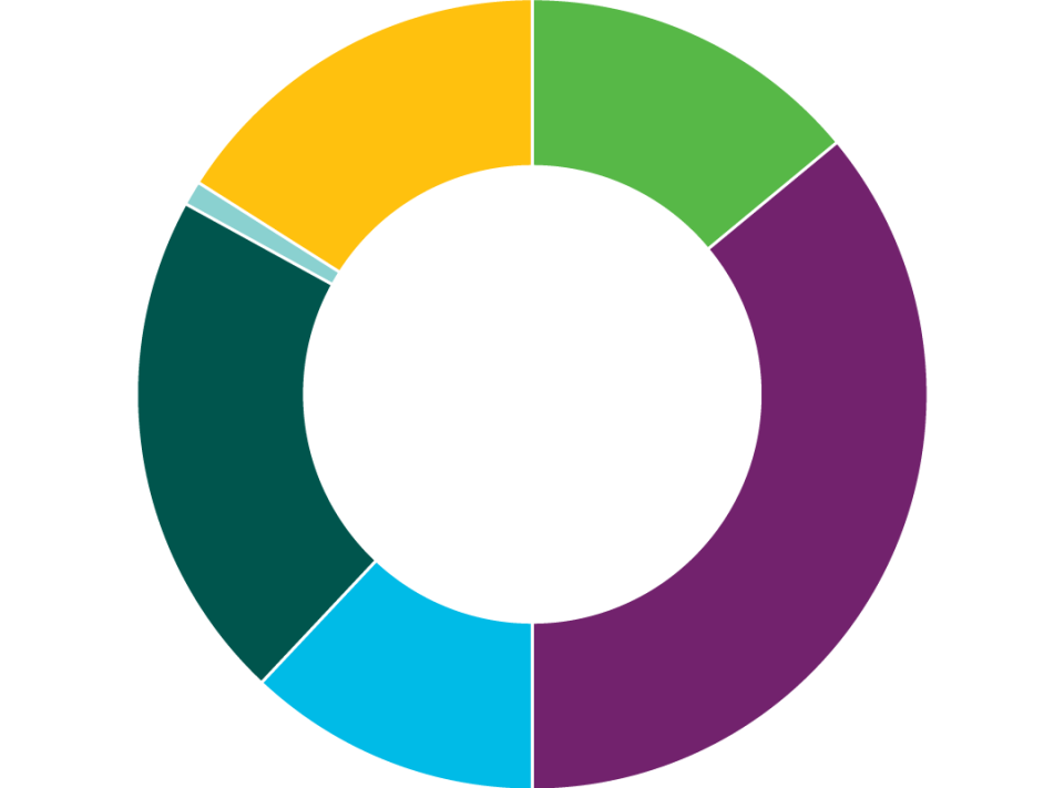 multicolor donut chart matching with adjacent infographic